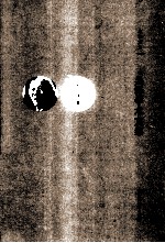 吴泽<em>学术</em>文集