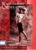 Human anatomy & physiology : student <em>study</em> <em>guide</em> sixth edition