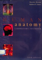 Human anatomy : <em>laboratory</em> textbook fifth edition