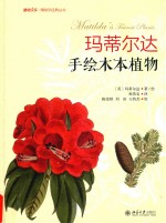 <em>玛</em>蒂尔达手绘木本植物