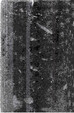 TWENTIETH CENTURY CONCEPTIONS <em>OF</em> <em>LANGUAGE</em> MASTERING <em>THE</em> METAPHYSICS MARKET
