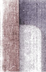 EXPLORING CH<em>A</em>OS <em>A</em> <em>GUIDE</em> <em>TO</em> <em>THE</em> NEW SCIENCE <em>OF</em> DISORDER