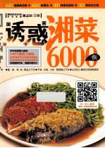 诱惑湘菜6000例
