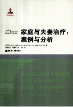 家庭与夫妻治疗  案例与分析