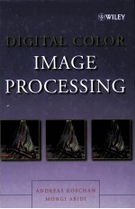 <em>DIGIT<em>A</em>L</em> COLOR IM<em>A</em>GE <em>PROCESSING</em>