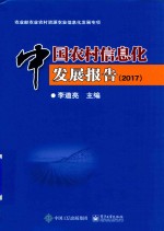 中国农村信息化发展报告  2017