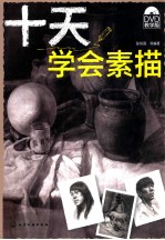 十天学会素描  DVD教学版