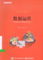 数据运营  深度揭秘SEO电商数据抓取技术