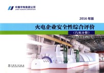 火电企业安全性综合评价  汽机分册