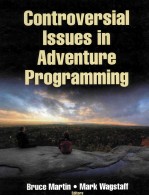 CONTROVERSIAL ISSUES IN A<em>D</em>VENTURE PROGRAMMING