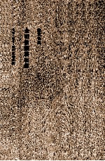 <em>陈寅</em>恪集  金明馆丛稿初编