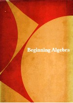 BEGINNING ALGEBRA <em>SECOND</em> <em>EDITION</em>