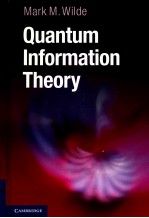 <em>QUANTUM</em> INFORMATION THEORY