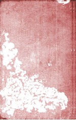 <em>LANGUAGE</em> AND <em>THE</em> ORIGINS <em>OF</em> PSYCHOANALYSIS