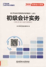 初级<em>会计</em>实务