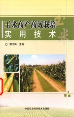 玉米高产高效栽培实用<em>技术</em>