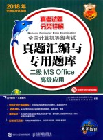 2018年无纸化考试专用  全国计算机等级考试真题汇编与专用题库  二级MS Office高级应用