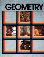 GEOMETRY ITS ELEMENTS AND <em>STRUCTURE</em> SECOND EDITION