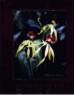 INTRODUCTORY PLANT <em>BI</em>OLO<em>GY</em>