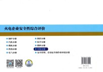 火电企业安全性综合评价  环保分册