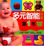 多元智能开发第一书  0-1岁