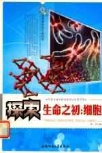 探索神奇的生命科学  探索生命之初  细胞