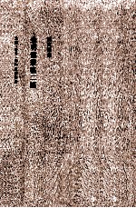 <em>陈寅</em>恪集  金明馆丛稿2编