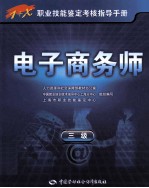 电子商务师  三级
