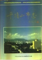 平顶<em>山市</em>志