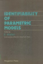 IDENTIFIABILITY OF PARA<em>M</em>ETRIC <em>M</em>ODELS