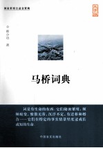 马桥词典  大字版