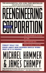 REENGINEERING <em>THE</em> CORPORATION