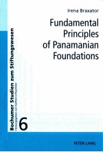 fundamental <em>principles</em> of panamanian foundations