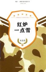 新锐军旅小说家丛书  红炉一点雪