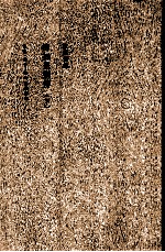 <em>陈寅</em>恪集  柳如是别传  3