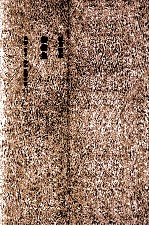 <em>陈寅</em>恪集  书信集