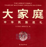 大<em>家庭</em>  中华民族巡礼