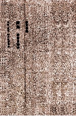 <em>陈寅</em>恪集  诗集