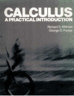 C<em>A</em>LCULUS <em>A</em> PR<em>A</em>CTIC<em>A</em>L INTRODUCTION