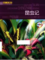 班主任推荐青少年成长必读书  昆虫<em>记</em>  美绘版