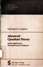 <em>Advanced</em> Quantum <em>Theory</em>  and Its <em>Applications</em> Through Feynman Diagrams