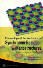 proceed<em>in</em>gs <em>of</em> the workshop on synchrotron radiation and nano<em>structure</em>s papers <em>in</em> honour <em>of</em> paolo pe