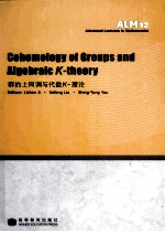 群的上同调<em>与</em>代数K-理论