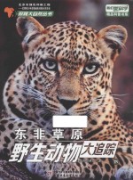 东非草原野生动物大追踪  下