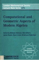 <em>COMPUTATIONAL</em> AND GEOMETRIC ASPECTS <em>OF</em> MODERN ALGEBRA