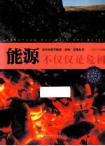 能源  不仅仅是危机