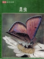 昆虫