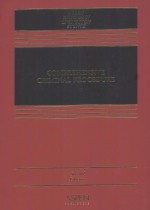 COMPREHENSIVE CRIMINA<em>L</em> PROCEDURE  SECOND EDITION
