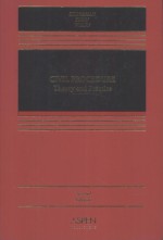 CIVIL PROCEDURE:<em>THEORY</em> AND <em>PRACTICE</em>  SECOND EDITION