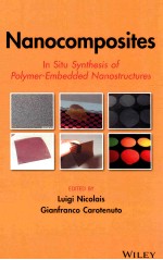 nanocomposites <em>in</em> situ synthesis <em>of</em> polymer-embedded nano<em>structure</em>s